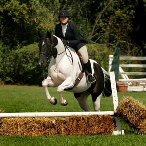 Meet your Posher, Brenda